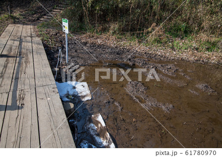 北本自然観察公園　オイル吸着マット　埼玉県北本市 61780970