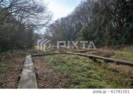 北本自然観察公園 遊歩道 埼玉県北本市 北本自然観察公園 遊歩道 埼玉県北本市 61781301