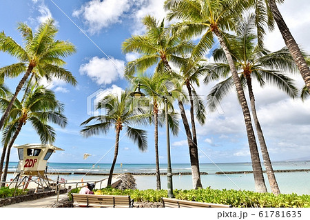 ハワイの休日 61781635