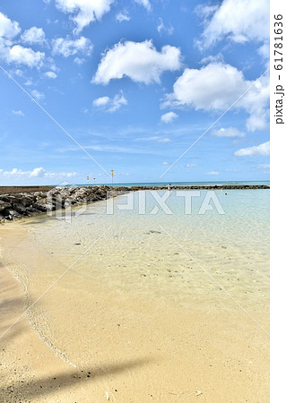 ハワイの休日 61781636