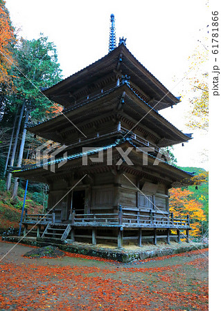 秋の丹波市高源寺 61781866