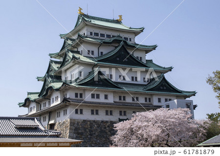 桜と名古屋城1 桜と名古屋城1 61781879
