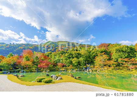 京都 天龍寺 秋の曹源池庭園 京都 天龍寺 秋の曹源池庭園 61781880
