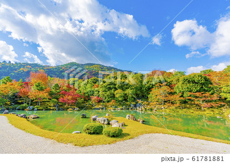 京都 天龍寺 秋の曹源池庭園 京都 天龍寺 秋の曹源池庭園 61781881