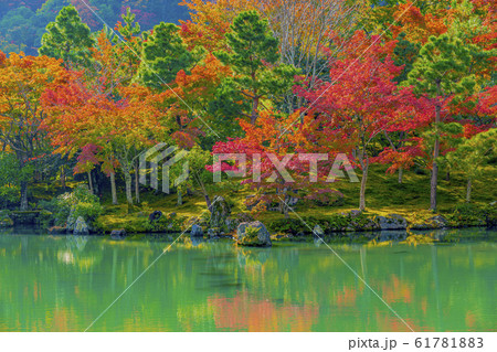 京都 天龍寺 秋の曹源池庭園 京都 天龍寺 秋の曹源池庭園 61781883