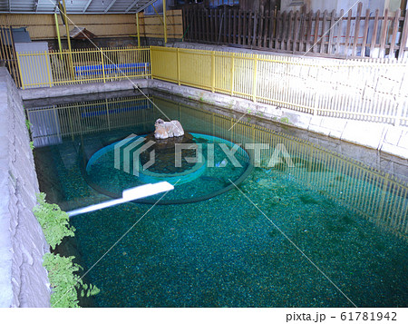 阪神電車、御影駅の高架下にある碧く澄んだ霊泉の湧き水「沢の井」（源泉） 61781942
