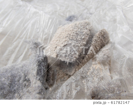 掃除機にたまっていたアレルギーの元のハウスダスト 61782147