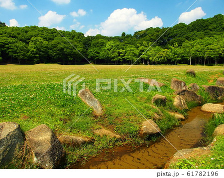 初夏の小川と草原と林のある21世紀の森と広場風景 61782196