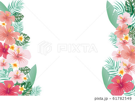 Tropical ハワイ トロピカル ハイビスカス 南国 真夏 沖縄 植物 プルメリア リゾートのイラスト素材