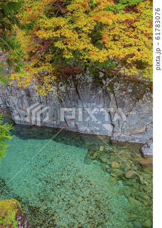 紅葉の阿寺渓谷　犬帰りの淵 61783076