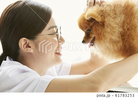 小型犬の診察を行う若い女性 61783253