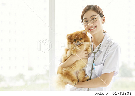 小型犬の診察を行う若い女性 61783302