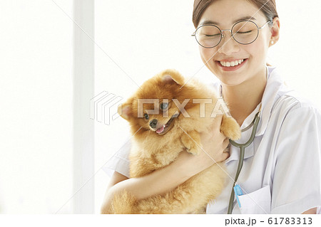 小型犬の診察を行う若い女性 61783313