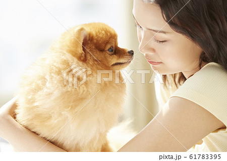 小型犬と暮らす若い女性 61783395