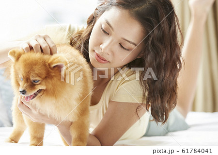 小型犬と暮らす若い女性 小型犬と暮らす若い女性 61784041