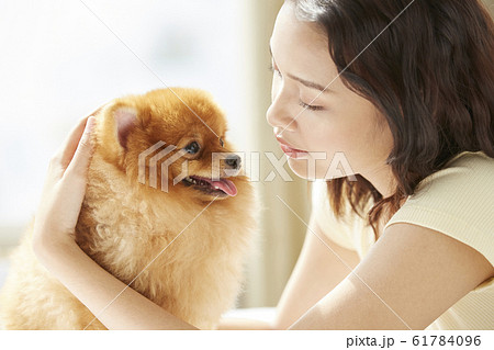 小型犬と暮らす若い女性 小型犬と暮らす若い女性 61784096