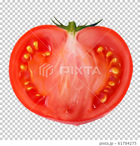 Tomato cross section watercolor sliced tomato Tomato cross section watercolor sliced tomato 61784275