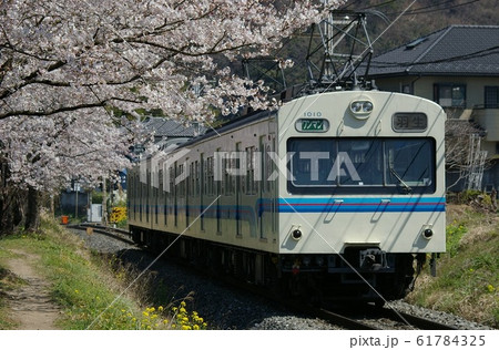 秩父鉄道秩父本線、長瀞・上長瀞駅間を走る普通列車（1000系） 61784325