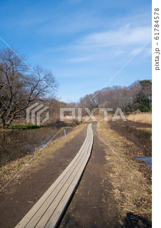 北本自然観察公園 遊歩道 埼玉県北本市 北本自然観察公園 遊歩道 埼玉県北本市 61784578