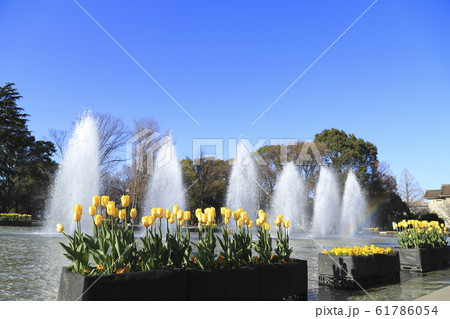 東京国立博物館と噴水 東京国立博物館と噴水 61786054
