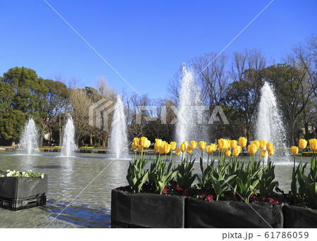 東京国立博物館と噴水 61786059