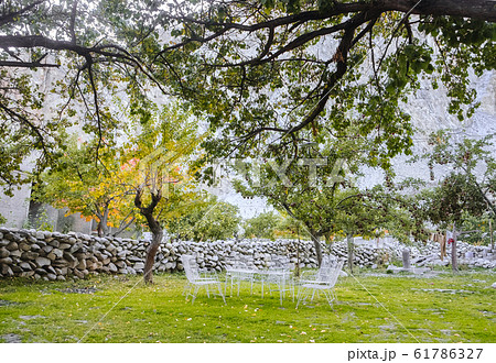 Natural green outdoor garden in countryside Natural green outdoor garden in countryside 61786327
