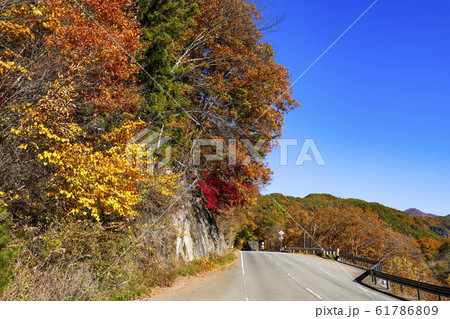 【山梨県】秋の増富ラジウムライン　山梨県道23号韮崎増富線 61786809