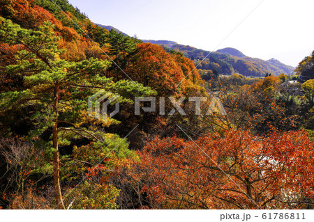 【山梨県】秋の増富ラジウムライン 山梨県道23号韮崎増富線 【山梨県】秋の増富ラジウムライン 山梨県道23号韮崎増富線 61786811