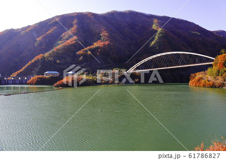 【山梨県】紅葉のみずがき湖 【山梨県】紅葉のみずがき湖 61786827
