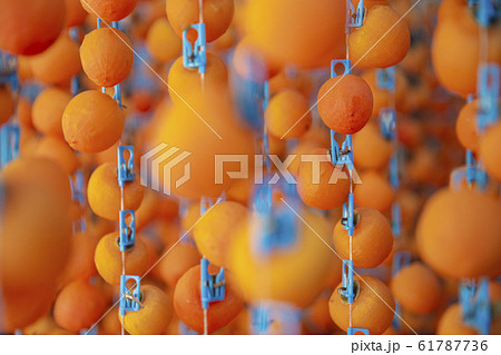 製作中の干柿 61787736