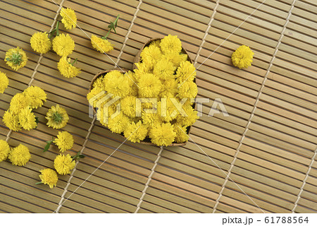 きれい 美しい 綺麗 61788564