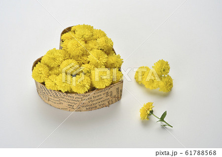 きれい 美しい 綺麗 61788568