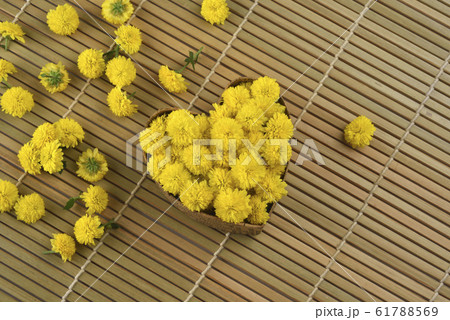 きれい 美しい 綺麗 61788569