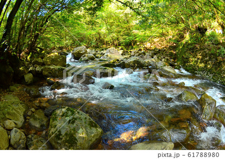 尾鈴渓谷 尾鈴渓谷 61788980