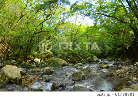 尾鈴渓谷 尾鈴渓谷 61788981