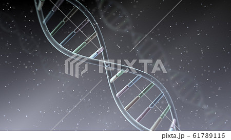 DNA 遺伝子 染色体 二重らせん バイオ 医療 科学 テクノロジー 背景 バックグラウンド 61789116
