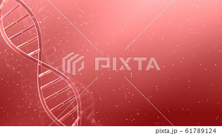 DNA 遺伝子 染色体 二重らせん バイオ 医療 科学 テクノロジー 背景 バックグラウンド 61789124