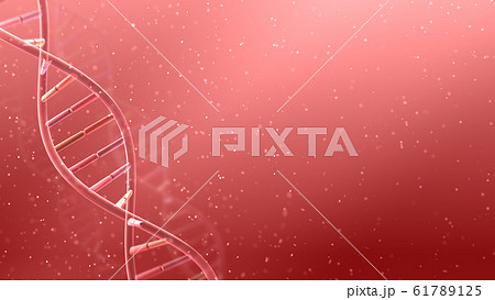 DNA 遺伝子 染色体 二重らせん バイオ 医療 科学 テクノロジー 背景 バックグラウンド 61789125
