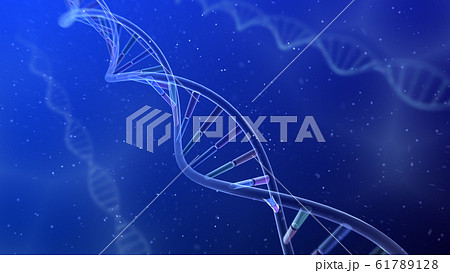 DNA 遺伝子 染色体 二重らせん バイオ 医療 科学 テクノロジー 背景 バックグラウンド DNA 遺伝子 染色体 二重らせん バイオ 医療 科学 テクノロジー 背景 バックグラウンド 61789128