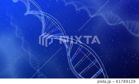 DNA 遺伝子 染色体 二重らせん バイオ 医療 科学 テクノロジー 背景 バックグラウンド DNA 遺伝子 染色体 二重らせん バイオ 医療 科学 テクノロジー 背景 バックグラウンド 61789129