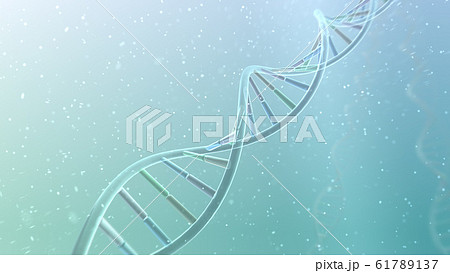 DNA 遺伝子 染色体 二重らせん バイオ 医療 科学 テクノロジー 背景 バックグラウンド 61789137