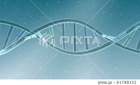 DNA 遺伝子 染色体 二重らせん バイオ 医療 科学 テクノロジー 背景 バックグラウンド DNA 遺伝子 染色体 二重らせん バイオ 医療 科学 テクノロジー 背景 バックグラウンド 61789152