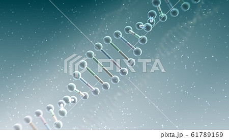 DNA 遺伝子 染色体 二重らせん バイオ 医療 科学 テクノロジー 背景 バックグラウンド DNA 遺伝子 染色体 二重らせん バイオ 医療 科学 テクノロジー 背景 バックグラウンド 61789169