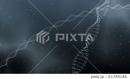 DNA 遺伝子 染色体 二重らせん バイオ 医療 科学 テクノロジー 背景 バックグラウンド DNA 遺伝子 染色体 二重らせん バイオ 医療 科学 テクノロジー 背景 バックグラウンド 61789188