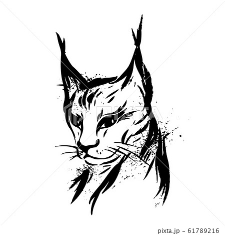 Lynx Wild Cat Predator Hand Drawn Black Andのイラスト素材