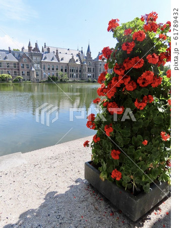オランダ　ハーグ　花飾りとホフ池ごしのビネンホフ 61789432
