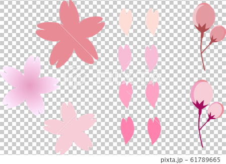 さくら 61789665