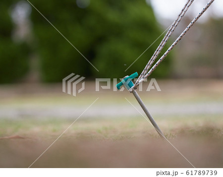 テントを張るペグ 61789739
