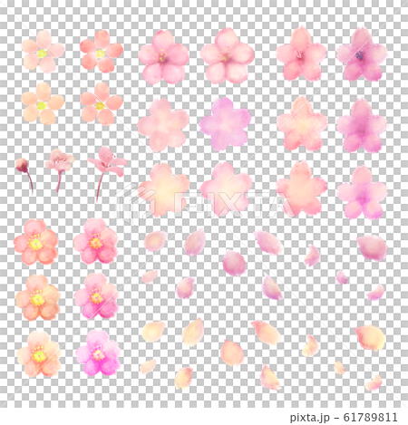 さくら(水彩) 61789811