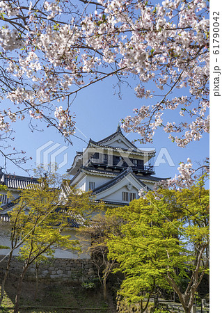 北側から望む岡崎城 61790042